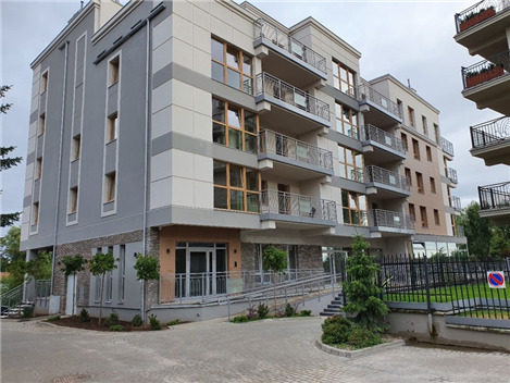 Alce de Polonia
